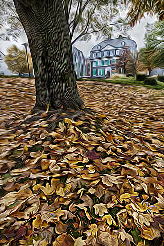 001 Baum WTL D35_5571 als Smartobjekt-1 kopieren als Smartobjekt-1 kopieren.jpg